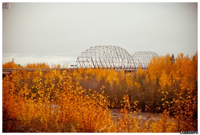 2012.秋.阿拉斯加