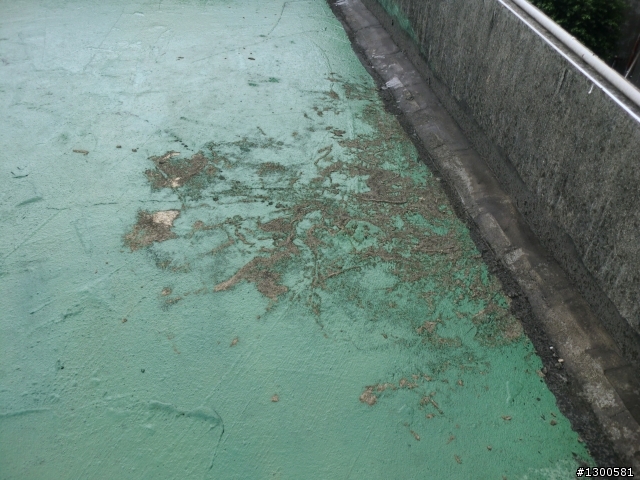 頂樓漏水...請問如何先去除pu部份