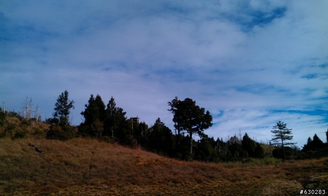 加羅湖 20121028