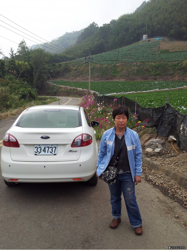中租迪和33-4737 Ford Fiesta 1.6 4D 24小時苗栗遊