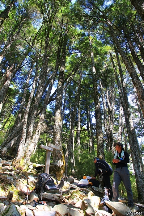 武陵四秀之池有山品田山(圖多)