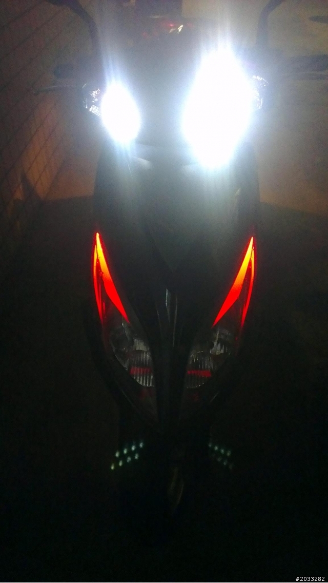 New Fighter 燈眉