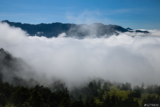 [遊記]武陵農場4+2、雲海漫騎14甲(2012.10.08)