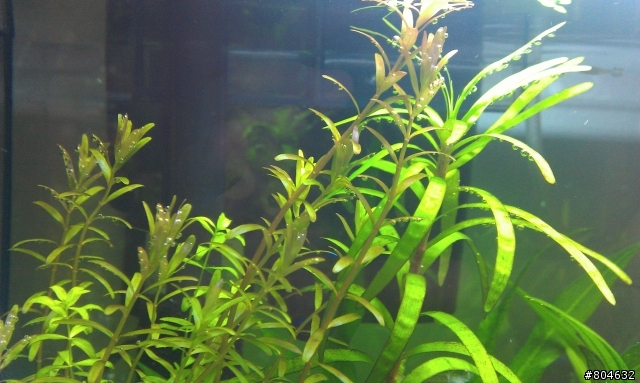 請問CO2監測器的問題~