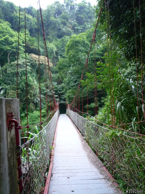 Fiesta 4D一日情人