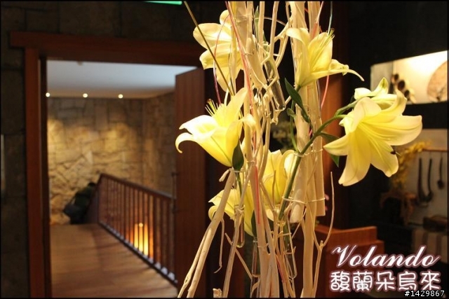 【烏來】『馥蘭朵烏來』下午茶