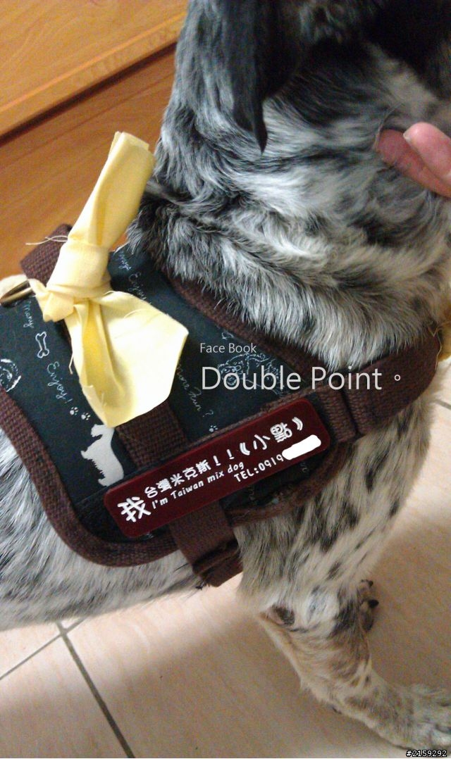 「分享」自製防爆衝胸背帶改良版與搭配披風~【2012/10/27更新】間諜狗