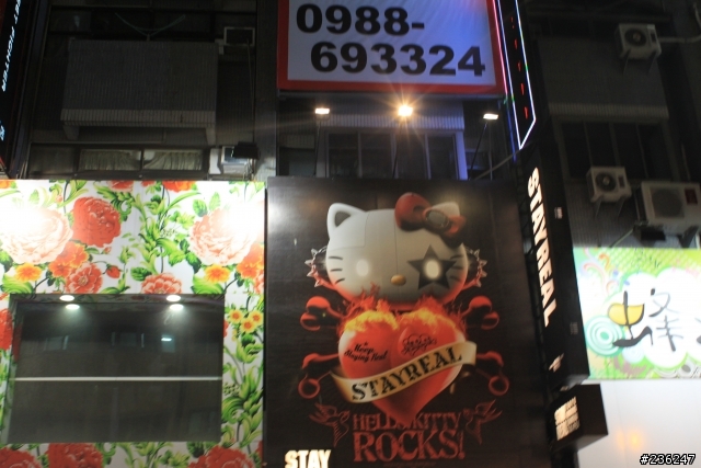 fiesta 24h試駕心得