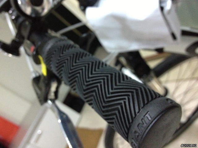 2013 巨人尺寸 GIANT TALON 入荷