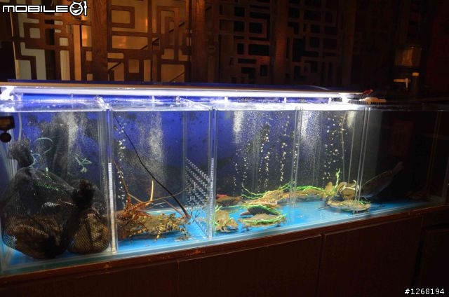 魚鮮味一流的「井味居酒屋」