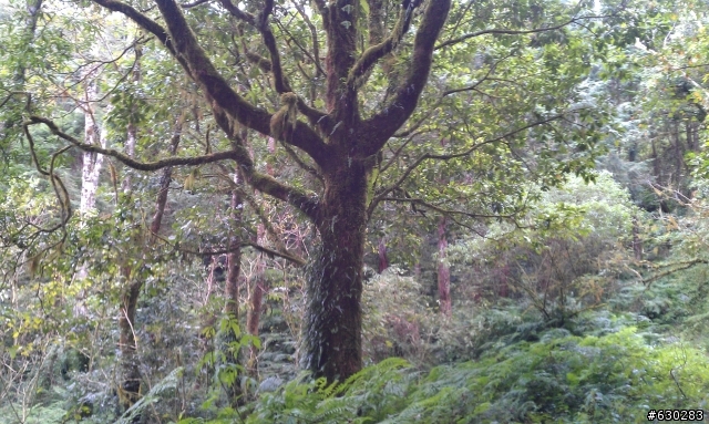 加羅湖 20121028