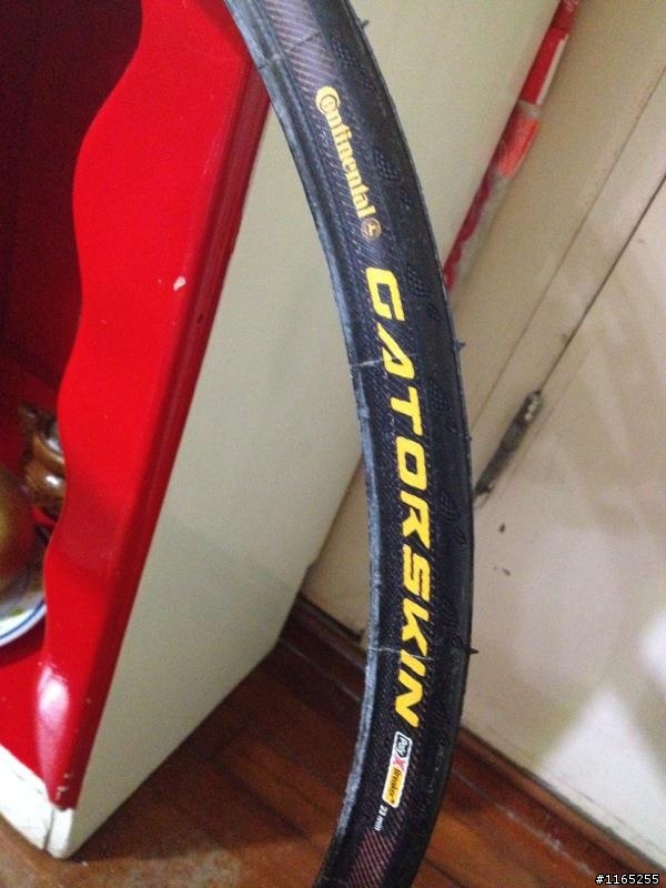 Campy Khamsin 輪組開箱文