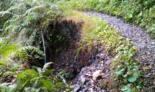 加羅湖 20121028