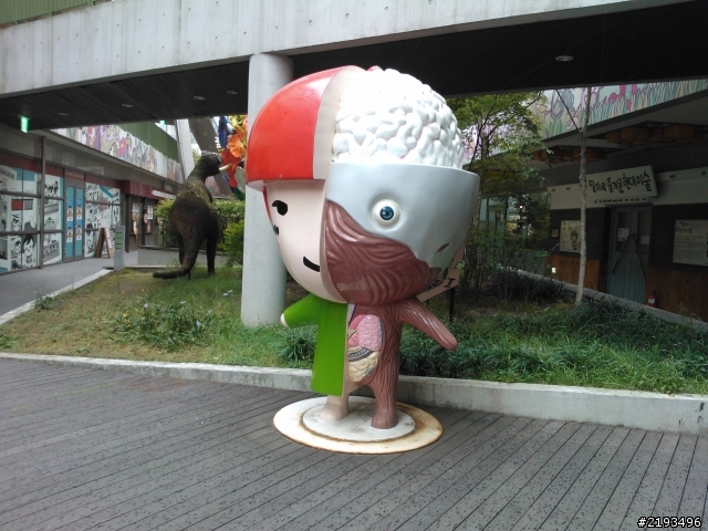 NOKIA Lumia 800 遊韓國(上)