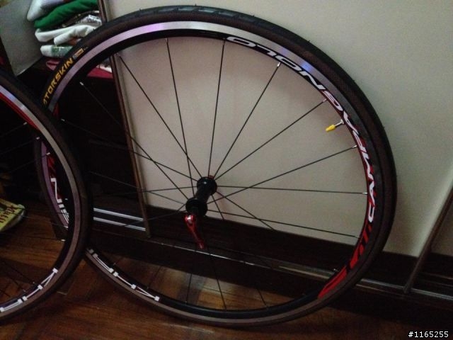 Campy Khamsin 輪組開箱文