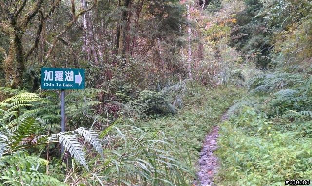 加羅湖 20121028