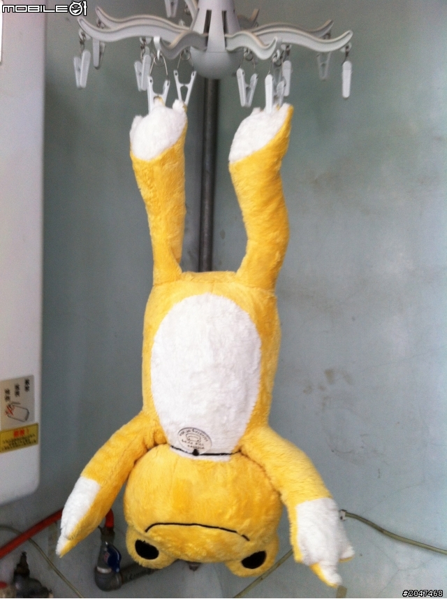 青蛙星人