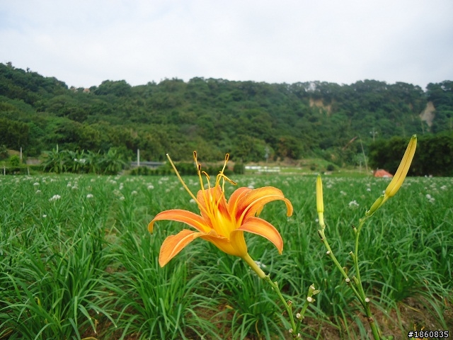2012.10.18九月雪&石門水庫慢遊