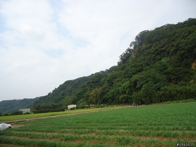 2012.10.18九月雪&石門水庫慢遊