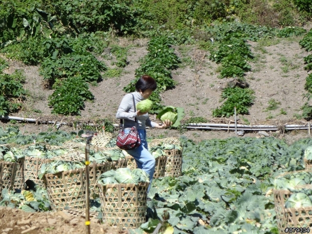 福壽山營地露營小小分享