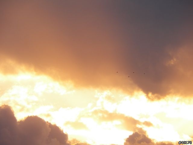 黃昏夕陽