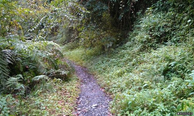 加羅湖 20121028