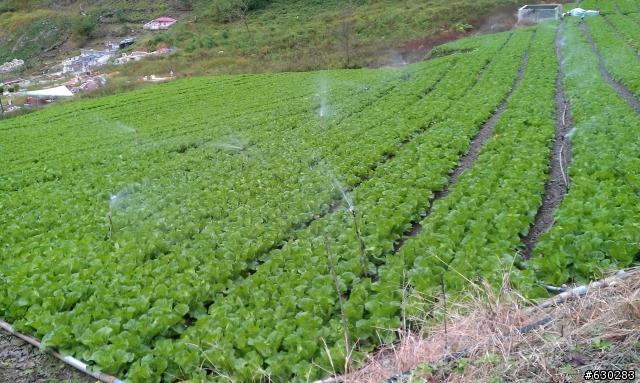 加羅湖 20121028