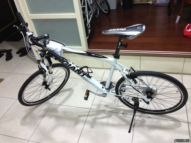 2013 巨人尺寸 GIANT TALON 入荷