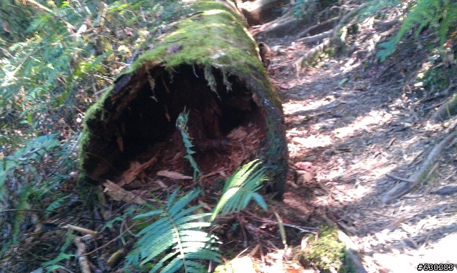 加羅湖 20121021 殘念行