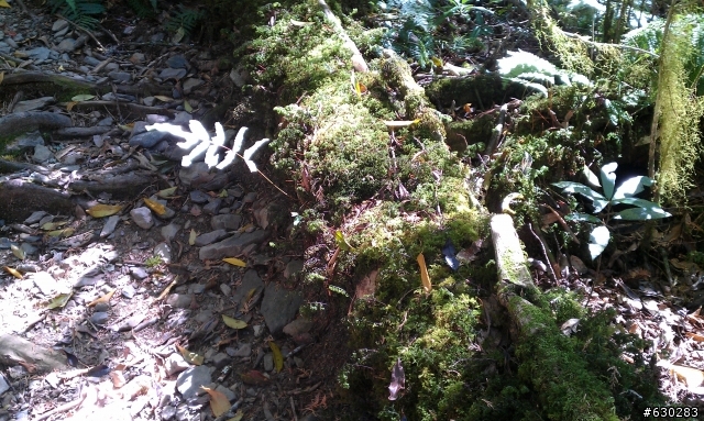加羅湖 20121021 殘念行