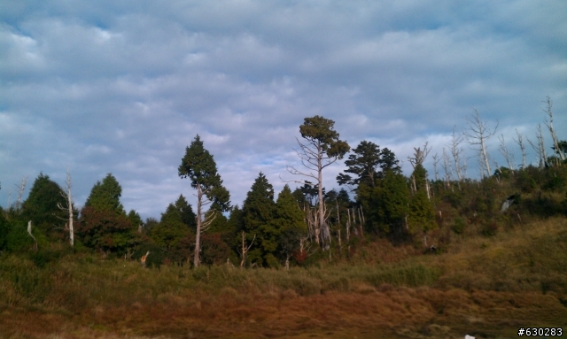 加羅湖 20121028