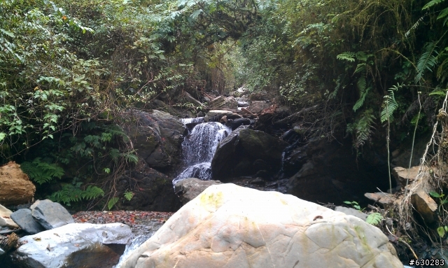 加羅湖 20121028