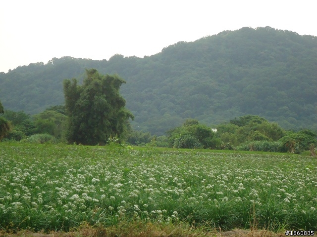 2012.10.18九月雪&石門水庫慢遊