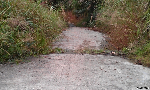 加羅湖 20121028