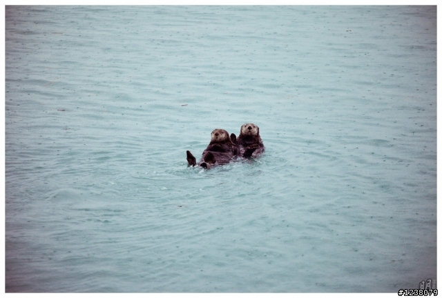 2012.秋.阿拉斯加