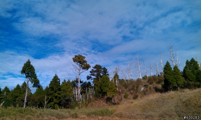 加羅湖 20121028