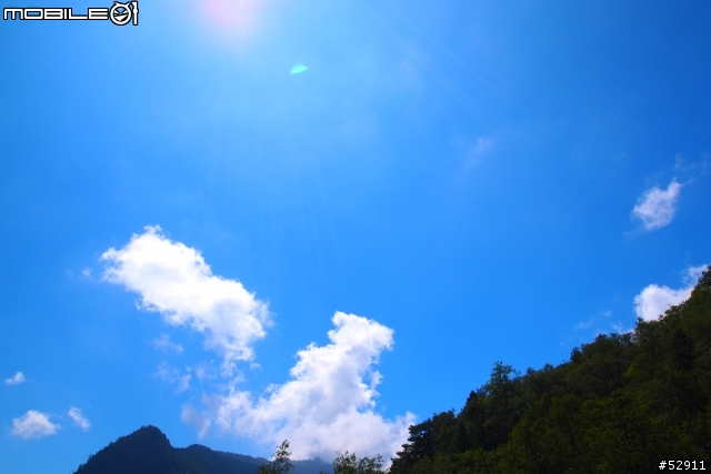 觀霧