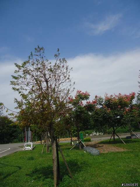 2012.10.18九月雪&石門水庫慢遊