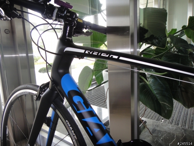 Giant 2013 冷門車Rapid COMPOSITE開箱