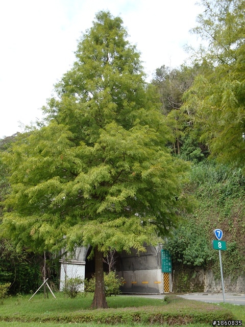 2012.10.18九月雪&石門水庫慢遊
