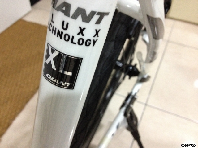 2013 巨人尺寸 GIANT TALON 入荷