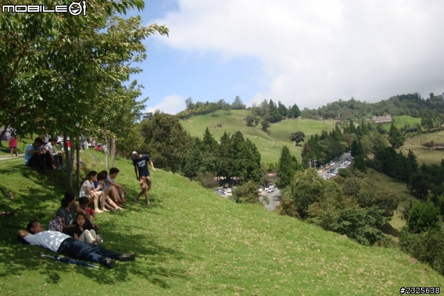 小肥上合歡山打獵去......