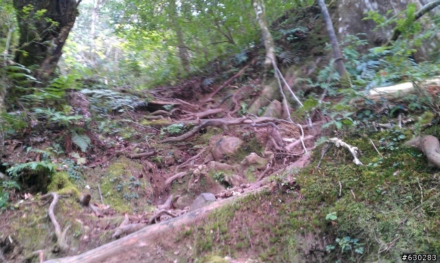 加羅湖 20121028