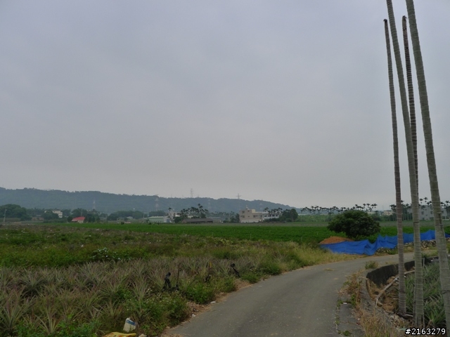 [車巡報告]環化賽前之半線采風