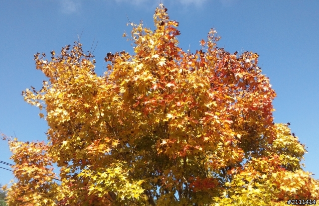 Alone Journey 三十公里的遺憾