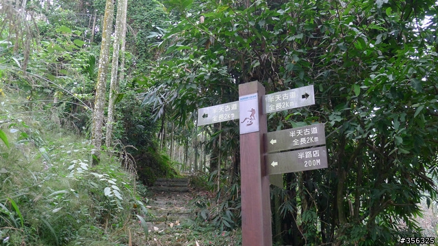 [遊記] 大阿里山百K小環線--梅山36彎/瑞里/奮起湖
