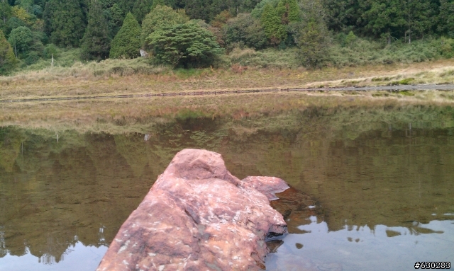加羅湖 20121028