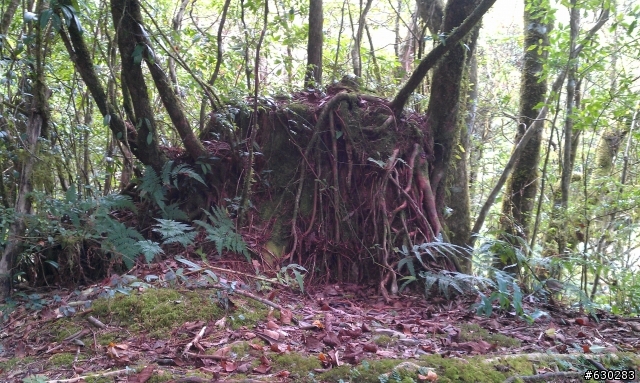 加羅湖 20121028