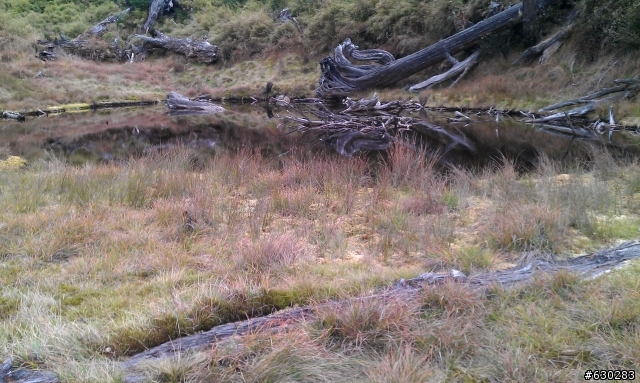 加羅湖 20121028