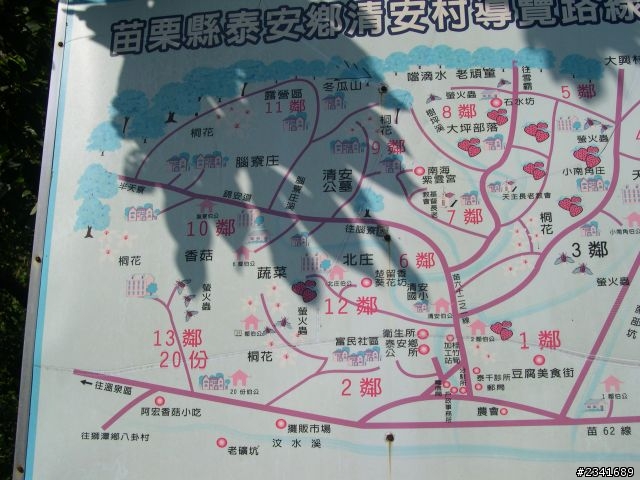 1024苗栗鷂婆山看老鷹〈上〉